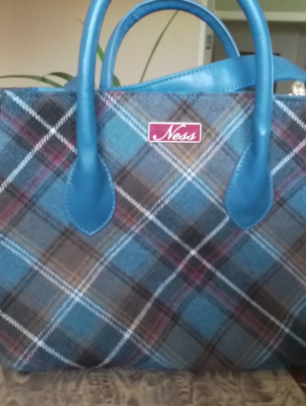 NESS Tartan Bag
